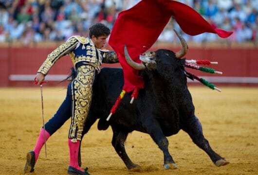 L’Unesco rifiuta una richiesta per rendere la corrida un patrimonio immateriale dell’umanità